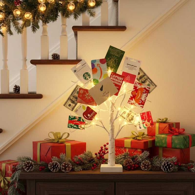 EAMBRITE Money Tree Gift Holder, Lighted Birch Tree 2FT 24LED, Battery/USB Powered Timer Light Up Display Twig Gift Card Tree with 6 Clear Clips and 6 Cards for Home Christmas Graduation Photo Memo - Image 2