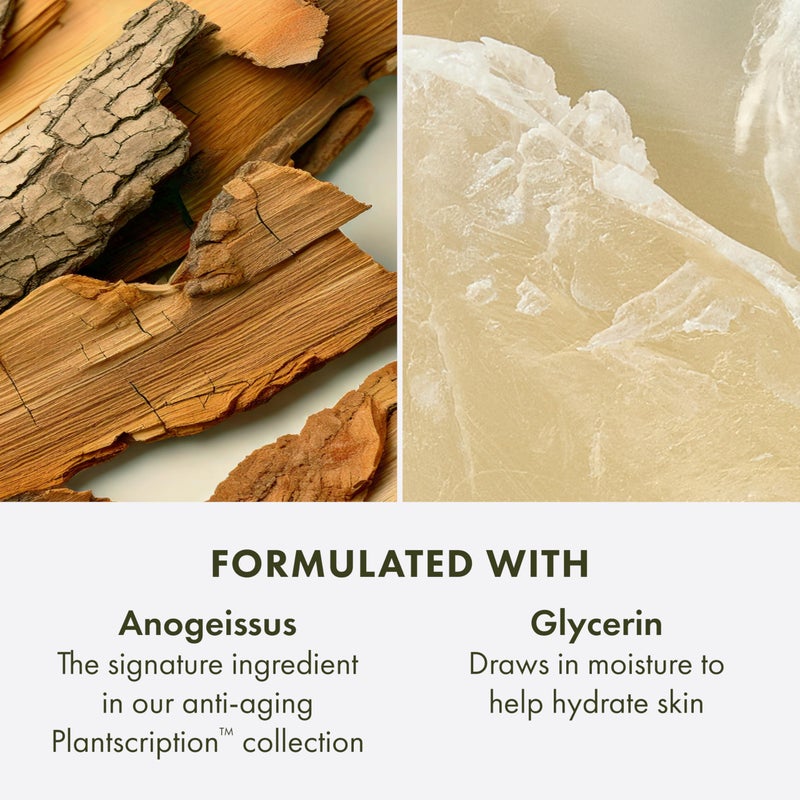 Origins Plantscription Anti-Aging Cleanser | Face Wash For All Skin Types | With Glycerin & Anogeissus, 5 Fl Oz - Image 5