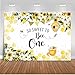 Mocsicka Bee First Birthday Backdrop So Sweet to Bee One Honeycomb Bumble Bee Sunflower First Birthday Party Photo - Image 2