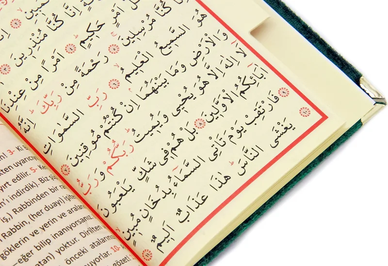 ايهفان اونلاين Bag Size Velvet Book of Yasin - Prayer Rug - Prayer Beads and Mawlid Gift with Transparent Box - Green