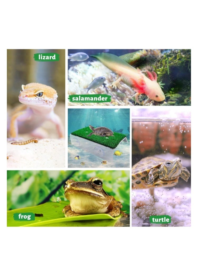 منصة تشمس للسلاحف، منحدر عشبي للسلاحف، سلم تسلق للسلاحف، شرفة استراحة للسلاحف والزواحف والضفادع، حجم كبير - Image 3