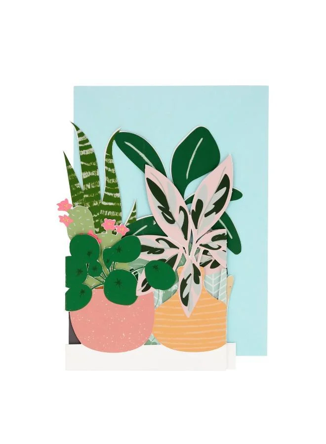 Meri Meri Potted Plant Card