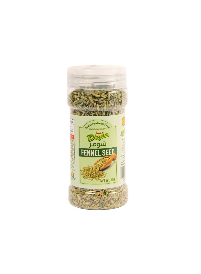 Diyar Fennel Seeds 70g