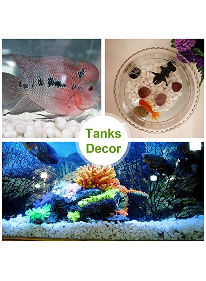 White and Grey Decorative Stones Smooth & Polished Pebbles for Aquarium Garden Landscaping Plants and Home Interior & Exterior Decoration Durable Rocks Gravel for Decor (Large - 1kg)  - Image 5