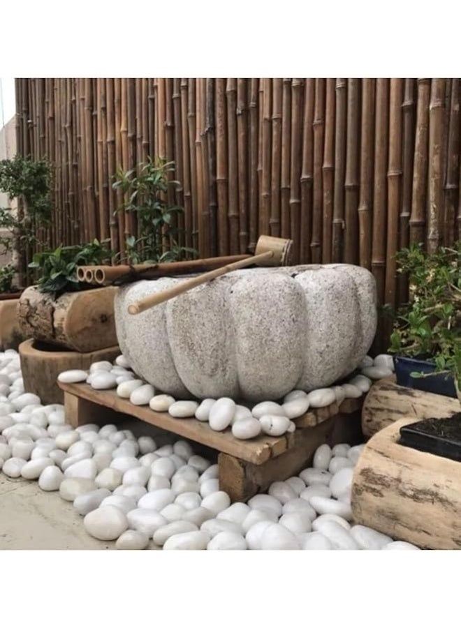 White and Grey Decorative Stones Smooth & Polished Pebbles for Aquarium Garden Landscaping Plants and Home Interior & Exterior Decoration Durable Rocks Gravel for Decor (Large - 1kg)  - Image 4