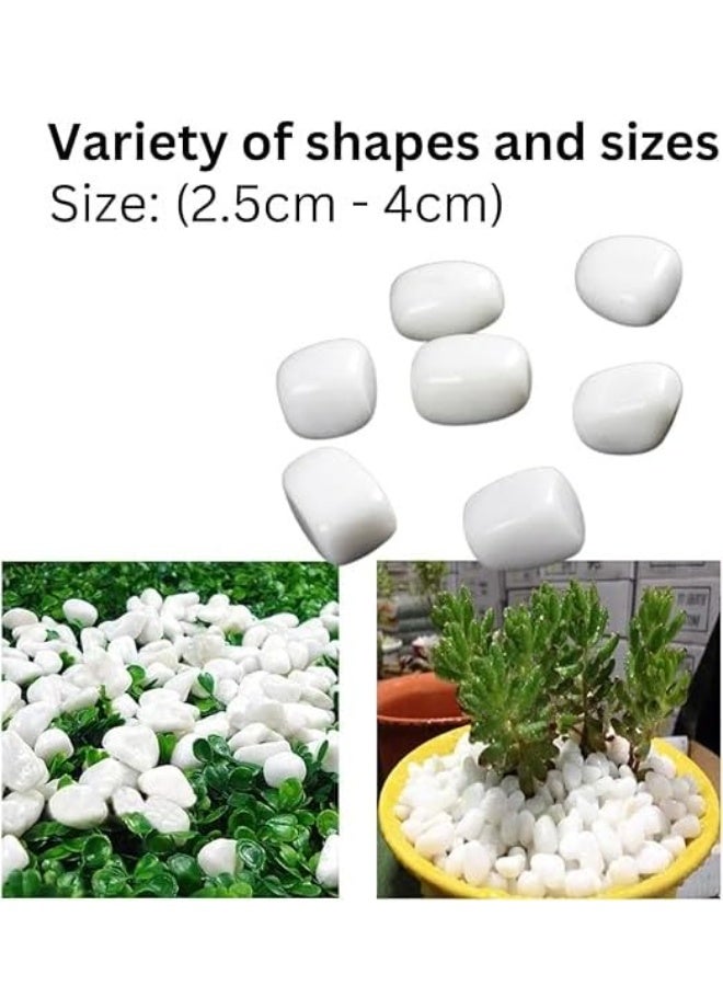White and Grey Decorative Stones Smooth & Polished Pebbles for Aquarium Garden Landscaping Plants and Home Interior & Exterior Decoration Durable Rocks Gravel for Decor (Large - 1kg)  - Image 2