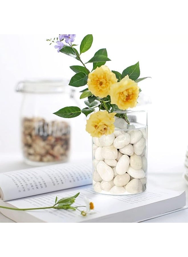 White and Grey Decorative Stones Smooth & Polished Pebbles for Aquarium Garden Landscaping Plants and Home Interior & Exterior Decoration Durable Rocks Gravel for Decor (Large - 1kg)  - Image 3