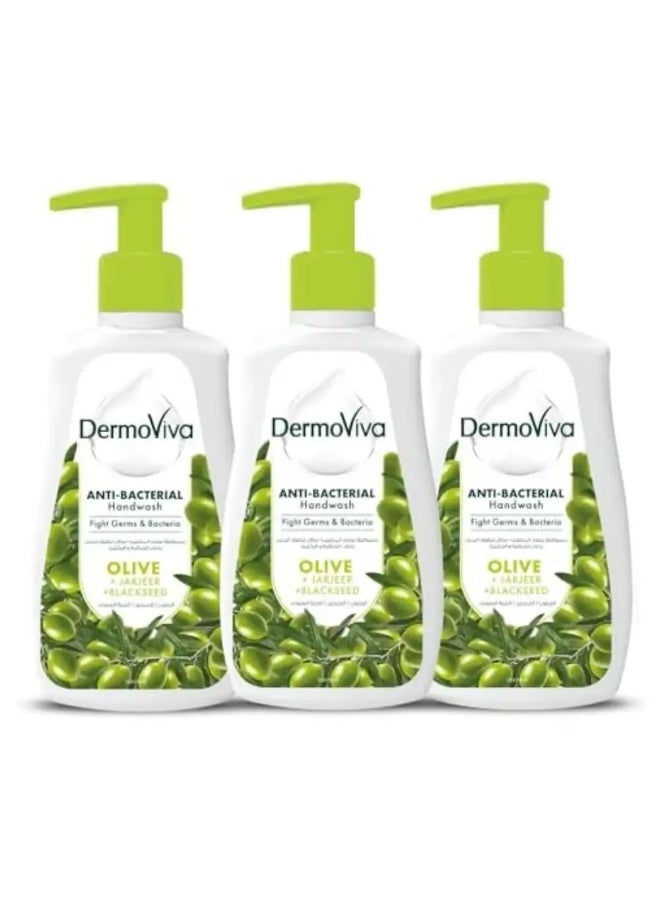 Dermoviva Anti-Bacterial Hand Wash Olive - 3-Piece Set