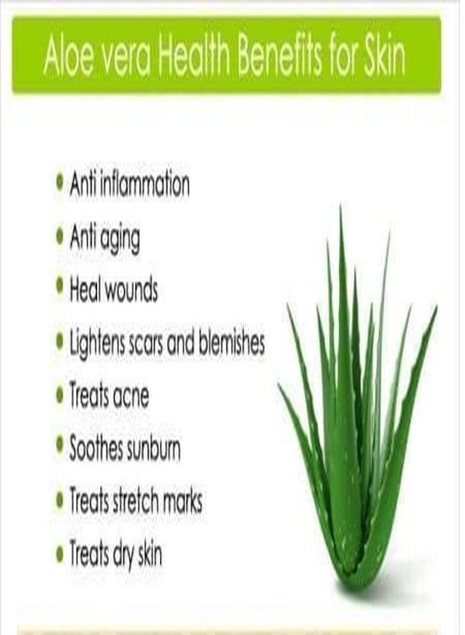 Khadi Rishikesh Herbal aloevera body wash,It's Mega-Moisturizing,Aloe vera is full of minerals like calcium & magnesium youthful skin, Anti-Aging,reduce Stretch Mark (Pack of 2 (2X210ml)) - Image 4