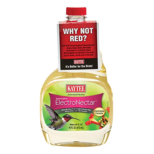 Kaytee Hummingbird ElectroNectar Wild Bird Food, Concentrate, 16 Ounces - Image 4