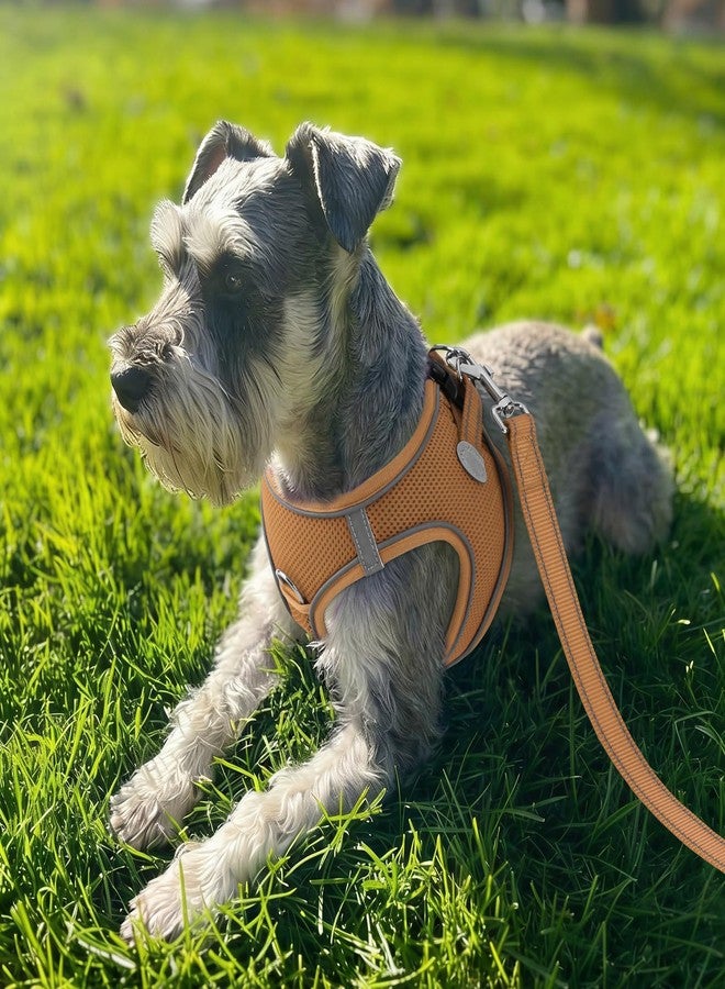 Joytale Small Dog Harness, Breathable Mesh Step-in Vest, Reflective Soft Padded Harnesses Small Sized Dog for Walking, Brown, S - Image 2