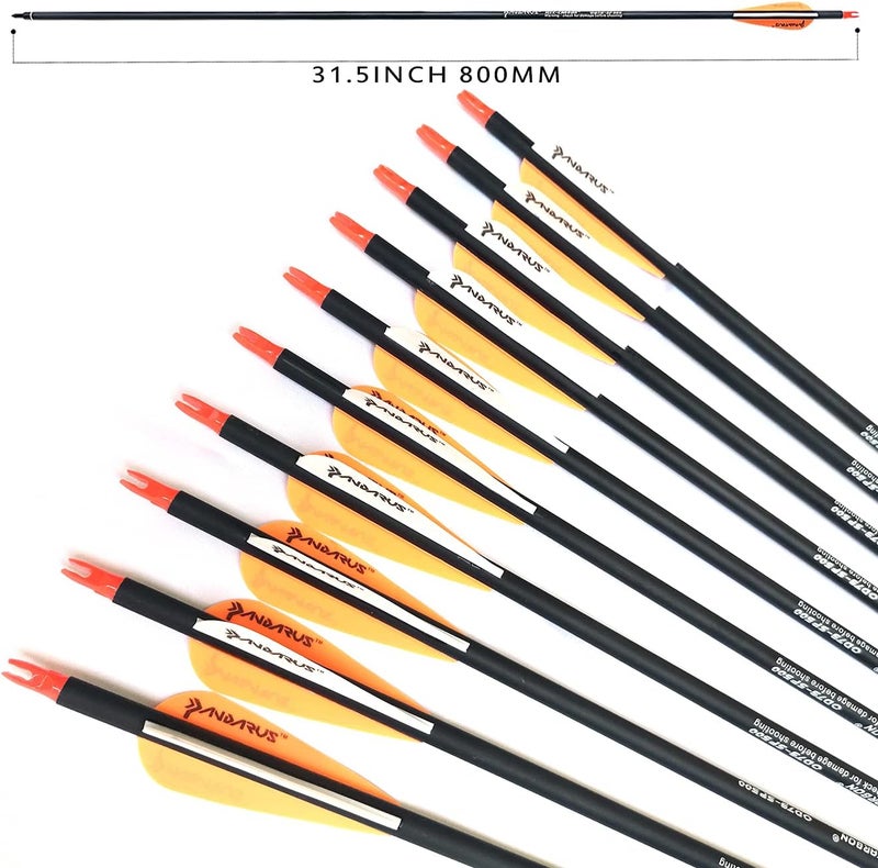 PANDARUS Archery 30/32/28 Inch Carbon Practice Hunting Arrows with Removable for Youth Compound & Recurve Bow Target (Pack of 12) - Image 2