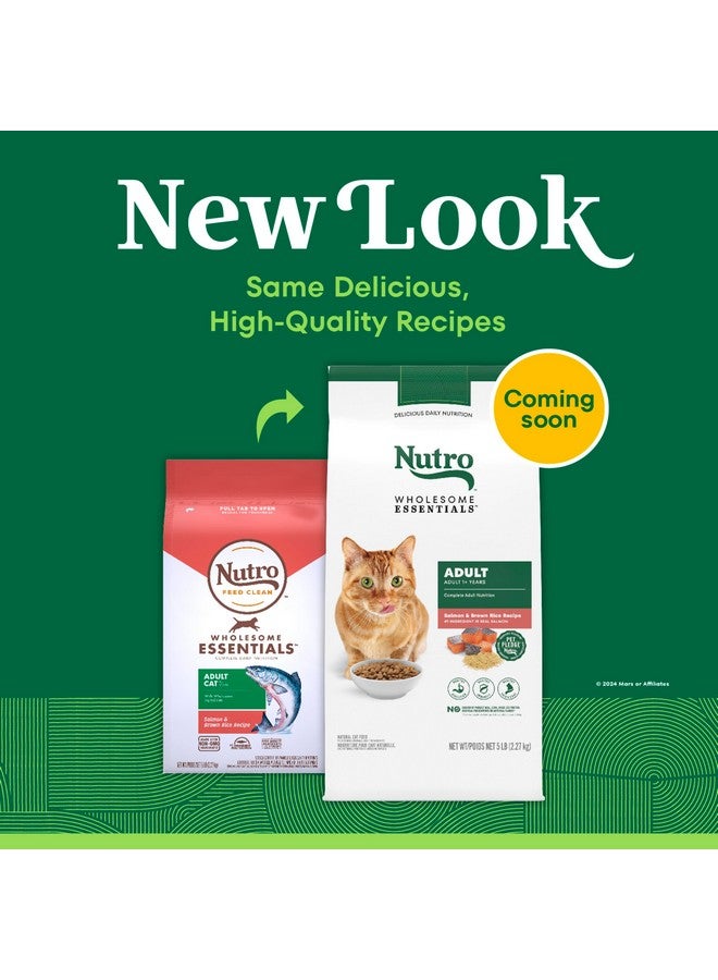 Nutro Wholesome Essentials Adult Dry Cat Food, Salmon & Brown Rice Recipe, 5 lbs. - Image 2
