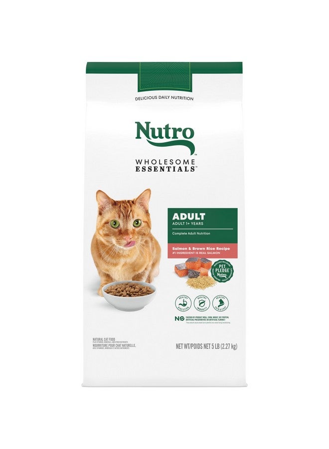 Nutro Wholesome Essentials Adult Dry Cat Food, Salmon & Brown Rice Recipe, 5 lbs. - Image 1