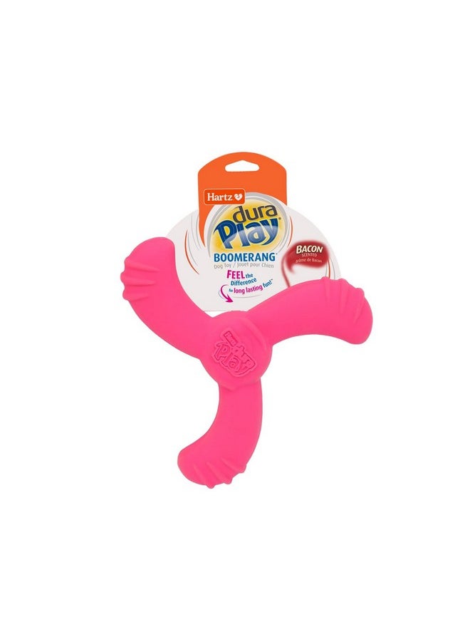 Hartz Hartz DuraPlay Bacon Scented Dog Toys, Medium/Large ( Colors may vary ) All Breed Sizes  - Image 1