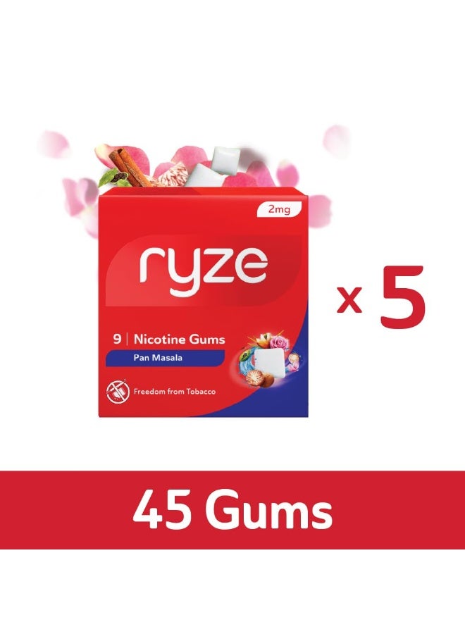 رايز علكة رايز بان ماسالا نيكوتين ٢ ملغ | عبوة من ٥ قطع (٤٥ علكة) | خالية من التبغ - غوتكا، خيني، زاردا | لطيفة على الحلق | خالية من السكر | تبييض الأسنان - Image 1