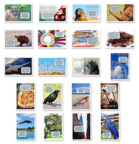 Postcard Fair FUN FACTS postcard set of 20. Post card variety pack with trivia and fun fact theme postcards. Made in USA. - Image 1