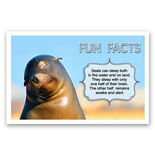 Postcard Fair FUN FACTS postcard set of 20. Post card variety pack with trivia and fun fact theme postcards. Made in USA. - Image 3