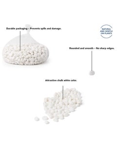 Generic 5LB (2.25KG) Decorative Stones River Pebbles Painting Rocks for Fish Aquariums Plant Gravel, Landscaping Home Decor Natural - Large White  - Image 2