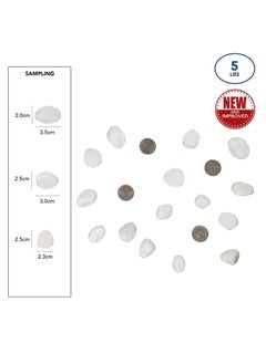 Generic 5LB (2.25KG) Decorative Stones River Pebbles Painting Rocks for Fish Aquariums Plant Gravel, Landscaping Home Decor Natural - Large White  - Image 5