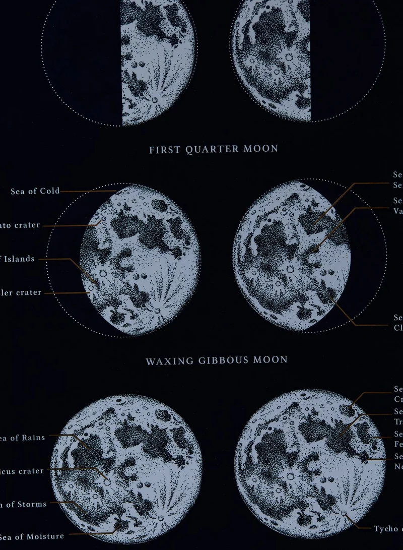 Luckies Night Sky Chartologist Map