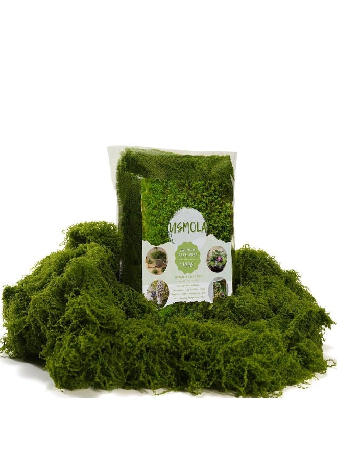 USMOLA 3.5OZ Fake Moss for Plants Indoor - Artificial Moss for Table Centerpieces, Fairy Gardens, Terrariums - Realistic Faux Grass for Wedding Christmas Party Decor (Natural Green) - Image 1