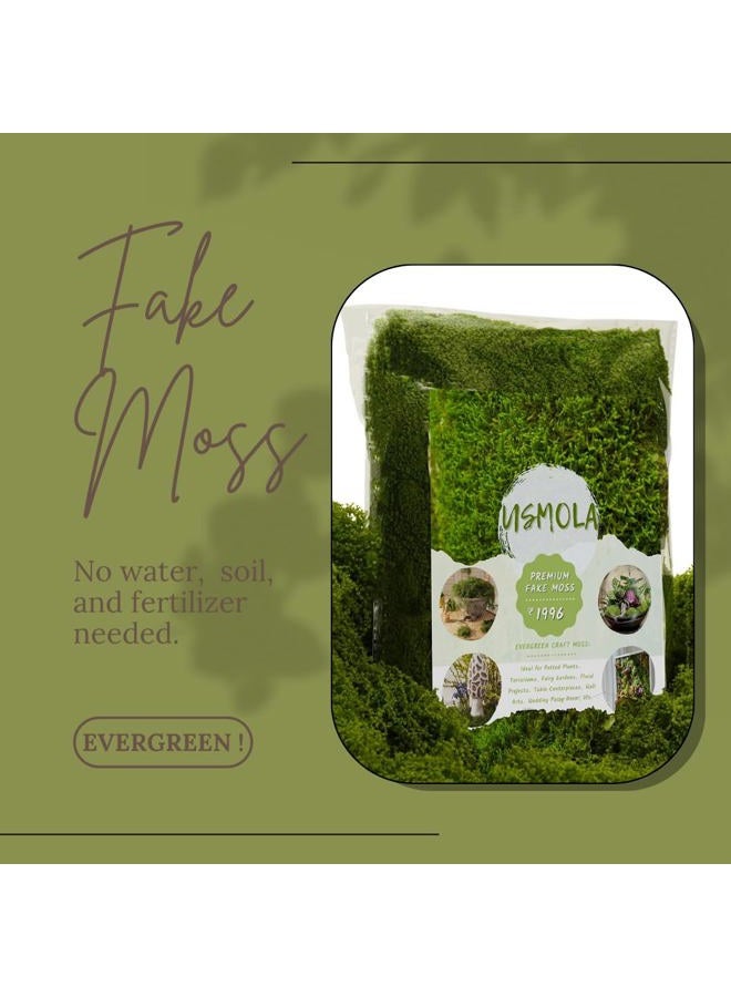 USMOLA 3.5OZ Fake Moss for Plants Indoor - Artificial Moss for Table Centerpieces, Fairy Gardens, Terrariums - Realistic Faux Grass for Wedding Christmas Party Decor (Natural Green) - Image 4
