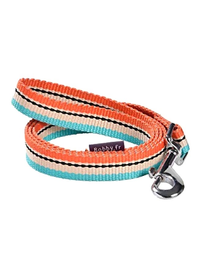NIBEMINENT Surf Dog Lead Orange/Blue/Black S
