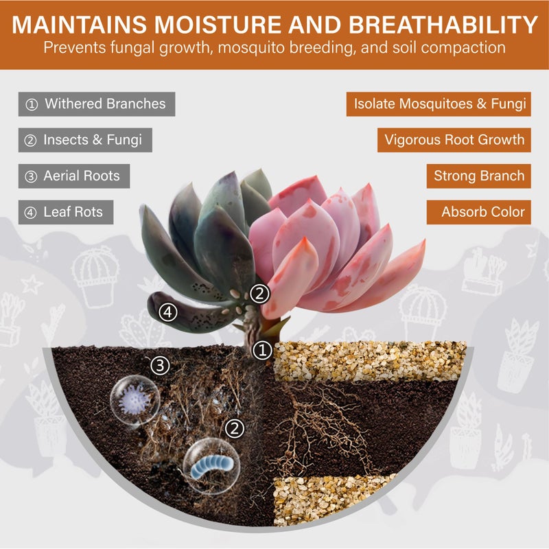 NUPICK 1-2mm Coarse Sand for Plants, 6lb Horticultural Grit for Succulents, Desert Silica Sand for Cactus, Decorative Gravel for Landscaping, Gold Grit for Aquariums, Bonsai, Vases Fillers - Image 2