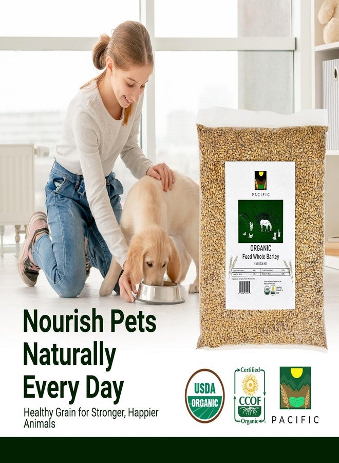 Pacific Organic Petfood Organic Whole Barley - Dehulled Whole Barley | Rich with Fiber & Minerals | USDA and CCOF Certified | Product of USA | 5Lbs - Image 4