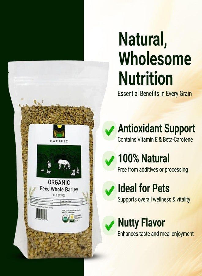 Pacific Organic Petfood Organic Whole Barley - Dehulled Whole Barley | Rich with Fiber & Minerals | USDA and CCOF Certified | Product of USA | 5Lbs - Image 3