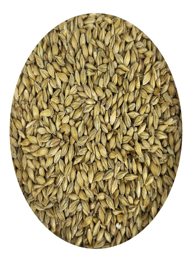 Pacific Organic Petfood Organic Whole Barley - Dehulled Whole Barley | Rich with Fiber & Minerals | USDA and CCOF Certified | Product of USA | 5Lbs - Image 2