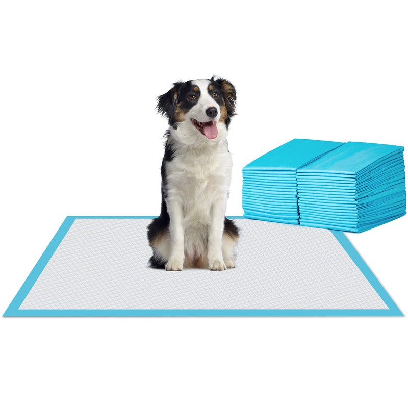 BESTLE Extra Large Pet Training and Puppy Pads Pee Pads for Dogs 30x36 Super Absorbent LeakProof 30 Count