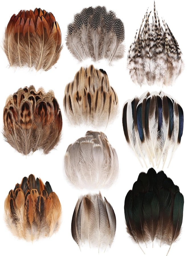 FeelfunFeather 300 pcs Small Feathers - 10 Style Mixed Spotted Decorative Natual Pheasant Feather for DIY Crafts Clothing Jewelry Hair Decoration - Image 1
