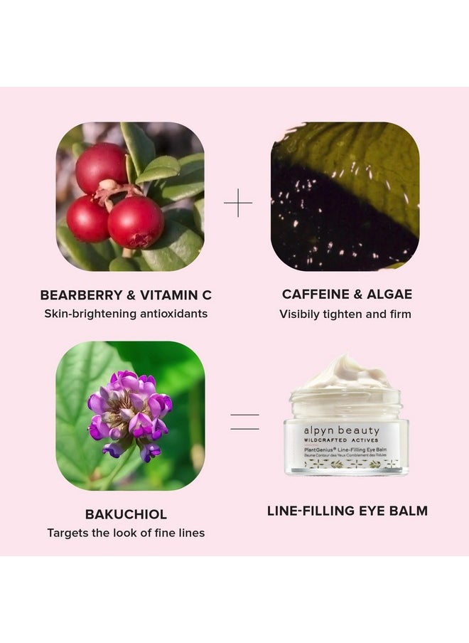 Alpyn Beauty - Alpyn Plantgenius Linefilling Eye Balm Reduce The Look Of Fine Lines & Wrinkles Minimize The Appearance Of Puffiness & Target Dark Circles 0.5 Oz / 14 Ml - Image 1