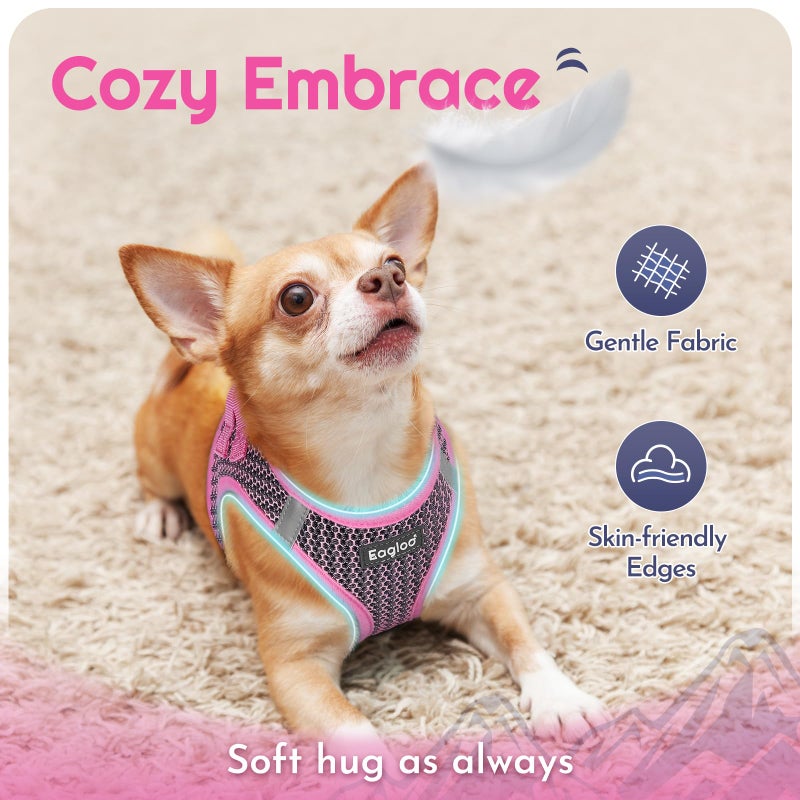 Eagloo Small Dog Harness and Leash Set, Step in Puppy Vest with Breathable Soft Mesh, Walking Reflective Pet Harness for Small Dogs, Pink, S - Image 4
