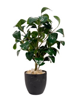 Generic Artificial Tree 68  cm Tall Plant for Interior/Home/Office Décor, Living Room, Bedroom, Kitchen, Durable Plant with Basic Black Pot, Big Natural Looking 