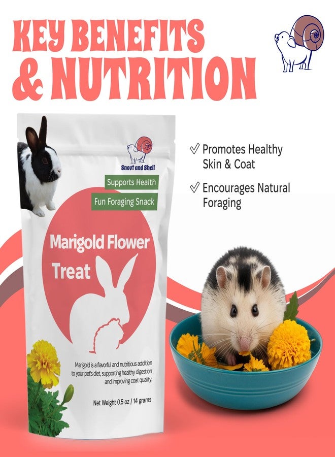 Snout and Shell Floral Favorites by Snout and Shell - 4-in-1 Natural Treats for Small Pets - Pea Flakes, Marigold, Rose Petals & Hibiscus - Healthy Snacks for Rabbits, Guinea Pigs, Chinchillas & More - Image 4