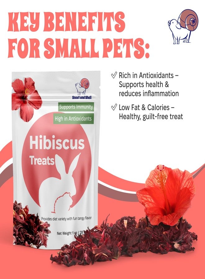 Snout and Shell Floral Favorites by Snout and Shell - 4-in-1 Natural Treats for Small Pets - Pea Flakes, Marigold, Rose Petals & Hibiscus - Healthy Snacks for Rabbits, Guinea Pigs, Chinchillas & More - Image 2