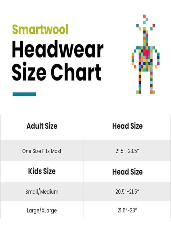 Smartwool Unisex Kid's Standard Patch Beanie (Little Big, Light Gray Heather - Image 3