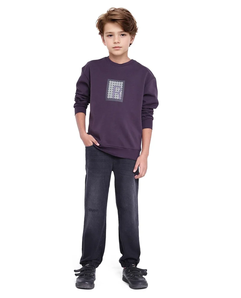 رير ونز Rare Ones Kids Poks Dark Purple Cotton Full Sleeve Hd Print And Discharge Print Sweatshirt