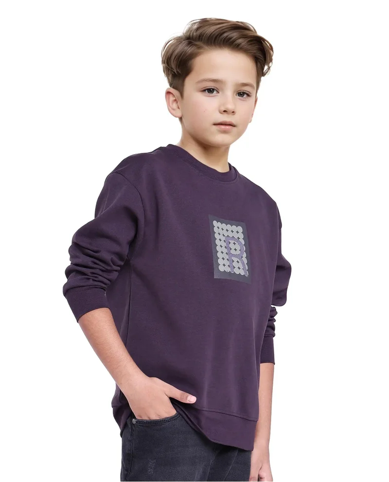 Rare Ones Rare Ones Kids Poks Dark Purple Cotton Full Sleeve Hd Print And Discharge Print Sweatshirt