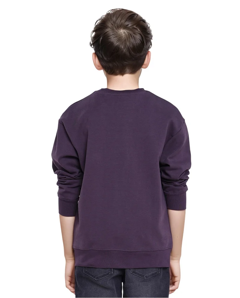 Rare Ones Rare Ones Kids Poks Dark Purple Cotton Full Sleeve Hd Print And Discharge Print Sweatshirt