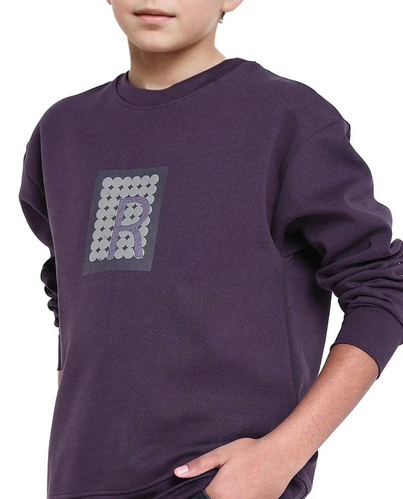 Rare Ones Rare Ones Kids Poks Dark Purple Cotton Full Sleeve Hd Print And Discharge Print Sweatshirt