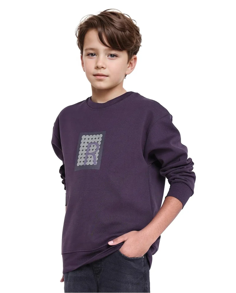 Rare Ones Rare Ones Kids Poks Dark Purple Cotton Full Sleeve Hd Print And Discharge Print Sweatshirt