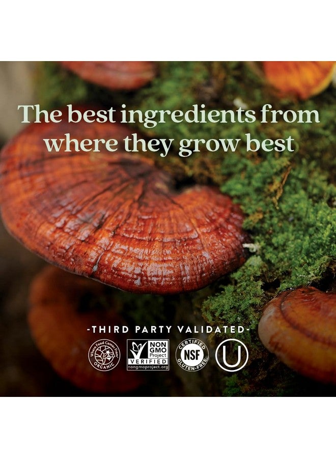 New Chapter Reishi Mushroom - LifeShield Reishi for Healthy Aging + Organic Reishi Mushroom + Vegan + Non-GMO, Nootropic Ingredients - 60 ct - Image 5