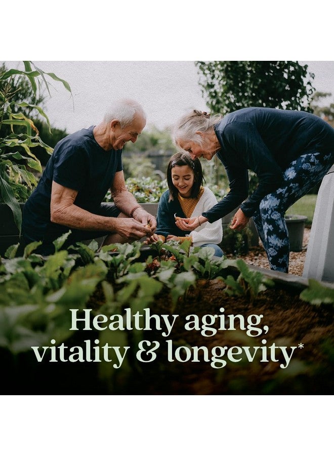 New Chapter Reishi Mushroom - LifeShield Reishi for Healthy Aging + Organic Reishi Mushroom + Vegan + Non-GMO, Nootropic Ingredients - 60 ct - Image 2