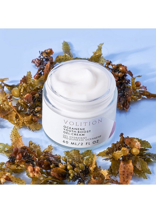 VOLITION Oceanene Youthboost Gelcream With Vitamin C + Hyaluronic Acid 60Ml/2Oz Agedefies Brightens Soothes Great For Sensitive Skin - Image 3