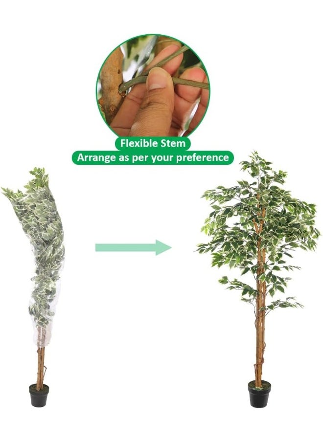 Yatai - YATAI DECOR Nearly Natural Artificial Ficus Plant 1.8 Meters High Ficus Tree Fake Plant with Plastic Pot & Moss Grass for Home Garden Decoration – Fake Tree – Artificial Plants (W-Green) - Image 1