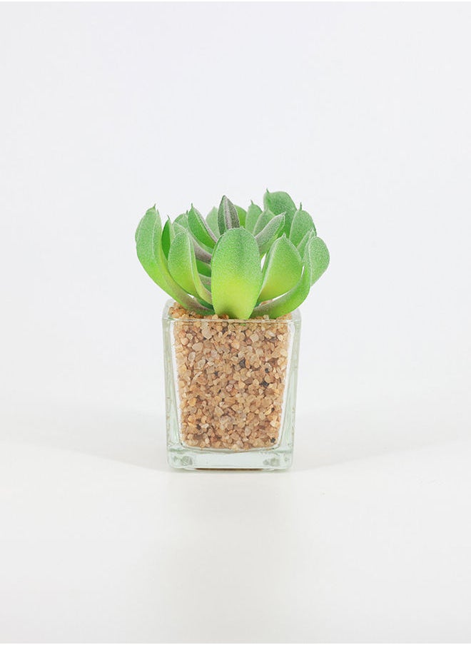 Rahalife Artificial Succulent Bonsai  - Image 1